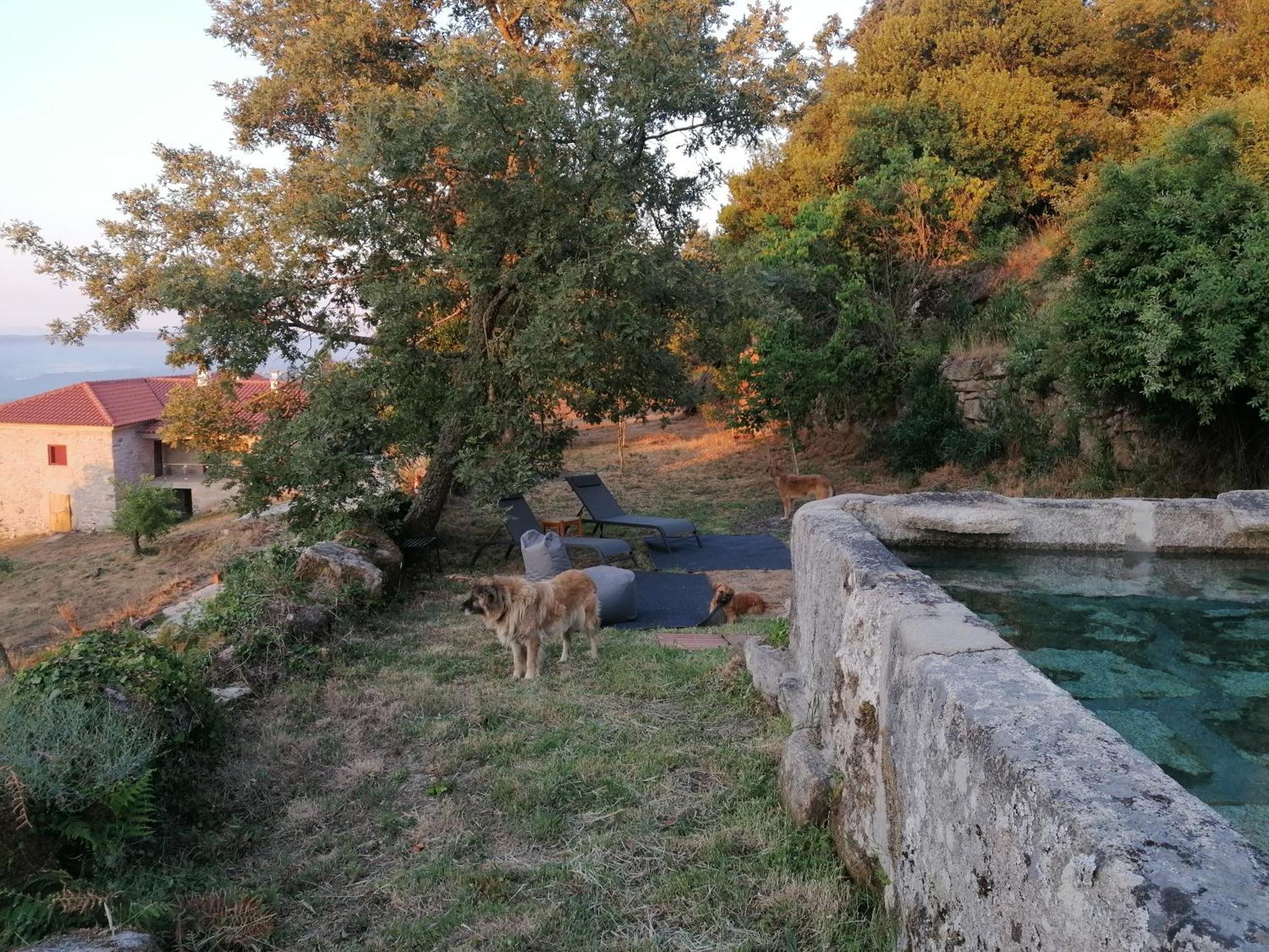 Casa Da Moiroa Villa Sendim  Buitenkant foto